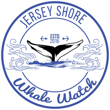Jersey Shore Whale Watch