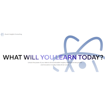 Quark Insights Consulting, LLC