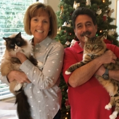 Debbie Slamowitz with her cat, Kona, and Stu Slamowitz with Mocha as they were preparing for the holidays.